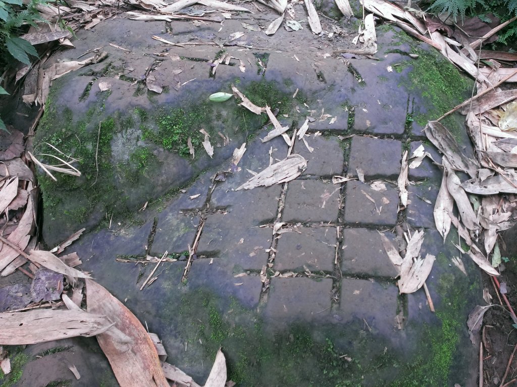 恣意橫貫五指之間_483002