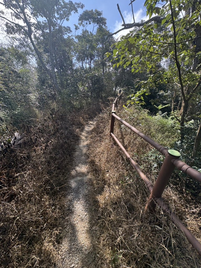 20251122獨立山國家步道+觀音石山+阿拔泉山_2944397