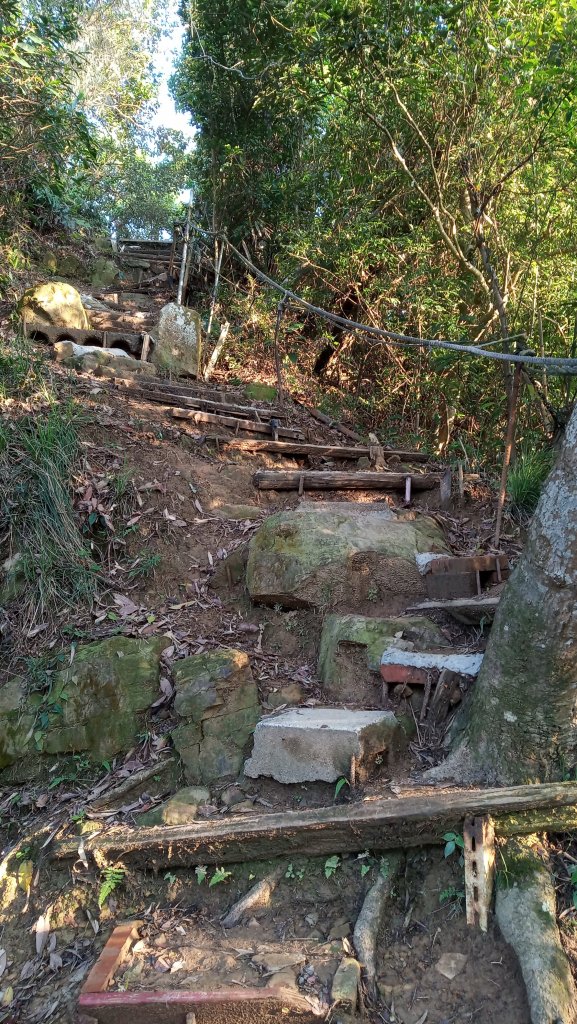 劍潭山/文間山/金面山尋幽_916549