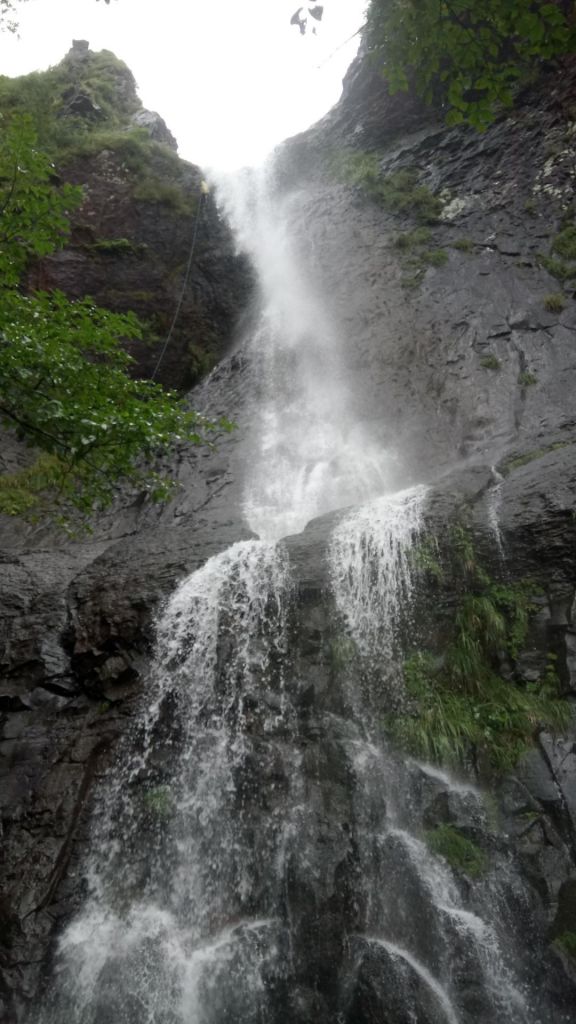 陽明山國家公園最大的瀑布「阿里磅瀑布」_406724