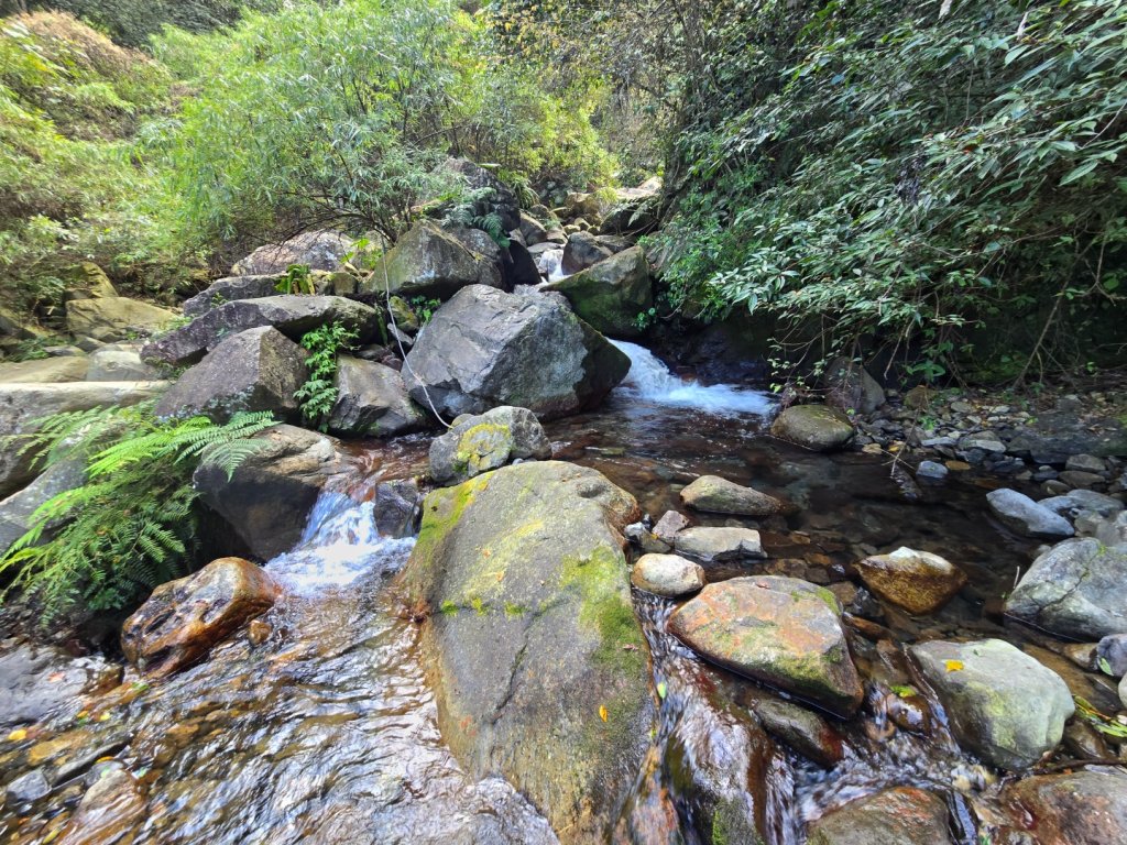 蝶夢八唐（裡冷登山口往返）八仙山出雲海下山順賞富士櫻_2722693