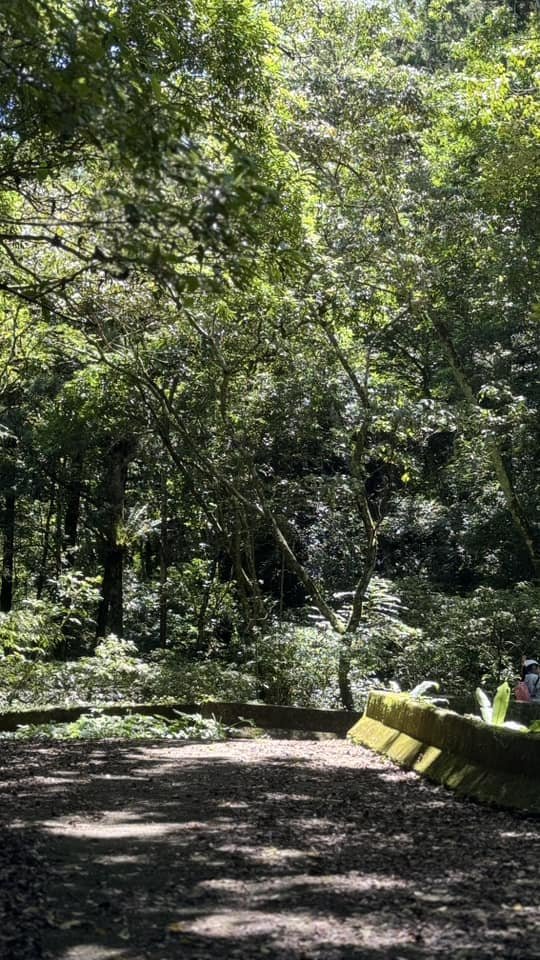 20240723新竹尖石水田林道鴛鴦谷瀑布步道_2559713