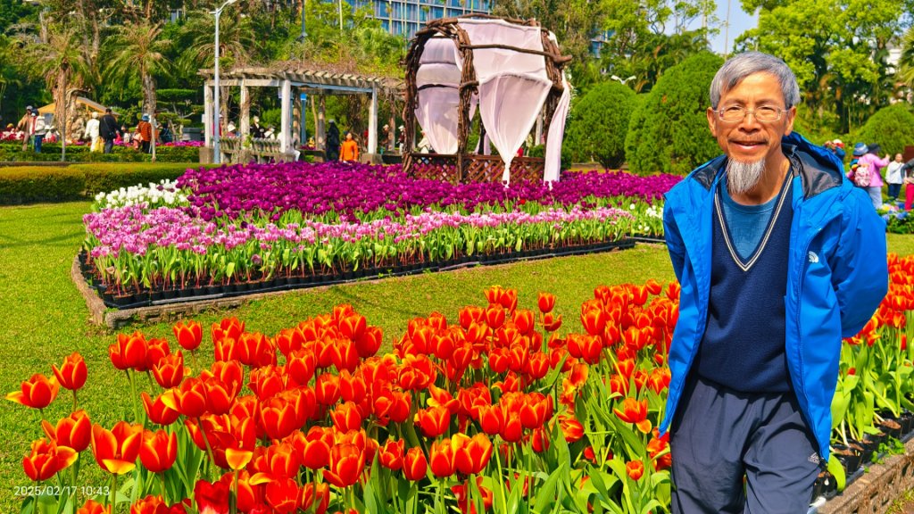 翡翠水庫壩頂&士林官邸鬱金香 2/17_2714095