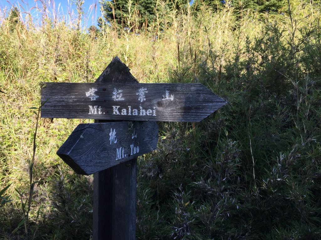 武陵四秀(2015四缺喀_2019喀桃)_689651