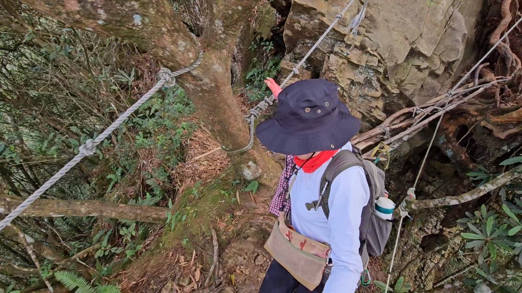 復興三尖之夫婦山_2356785