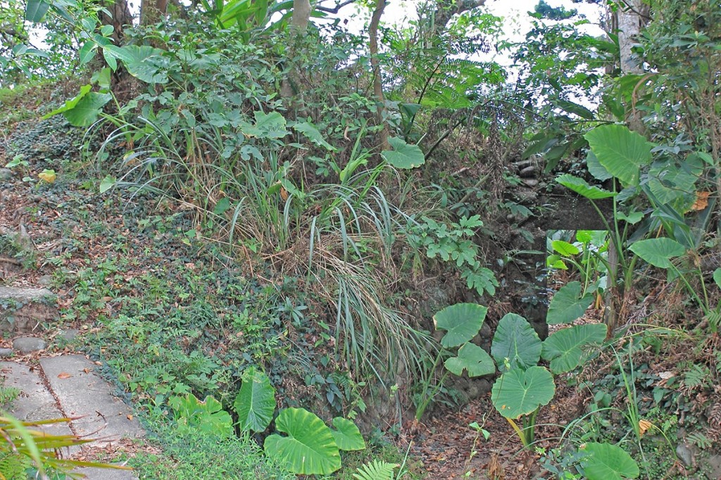 金山獅頭山步道.神秘海岸.燭臺雙嶼Ｏ型_242381