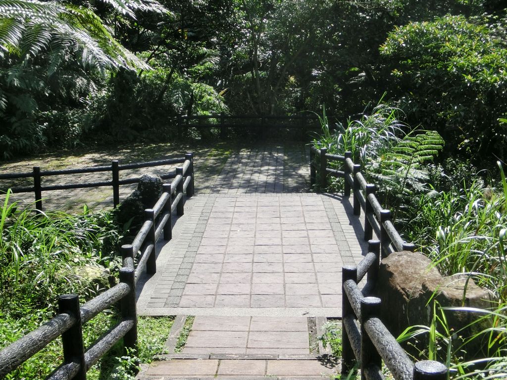 姜子寮山．泰安瀑布．鐵道公園_105802