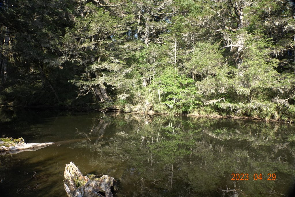 南投 仁愛 武法奈尾山_2133774