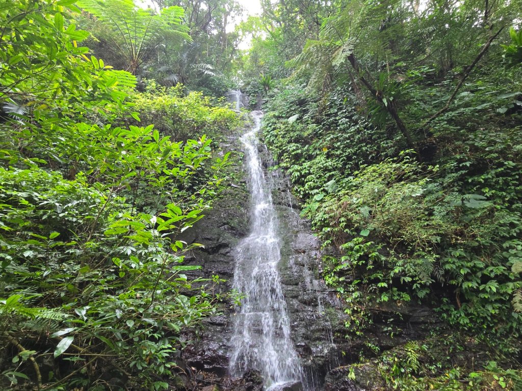 馬武督探索森林、外鳥嘴山_2860604