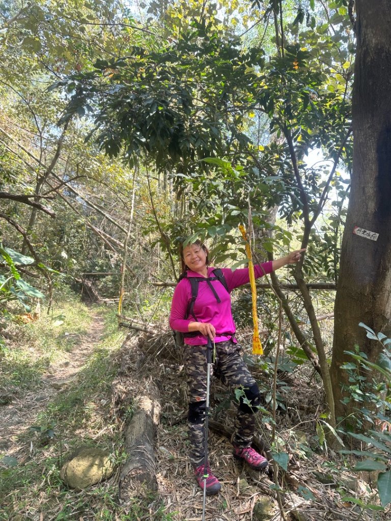 高雄美濃月光山_2734922