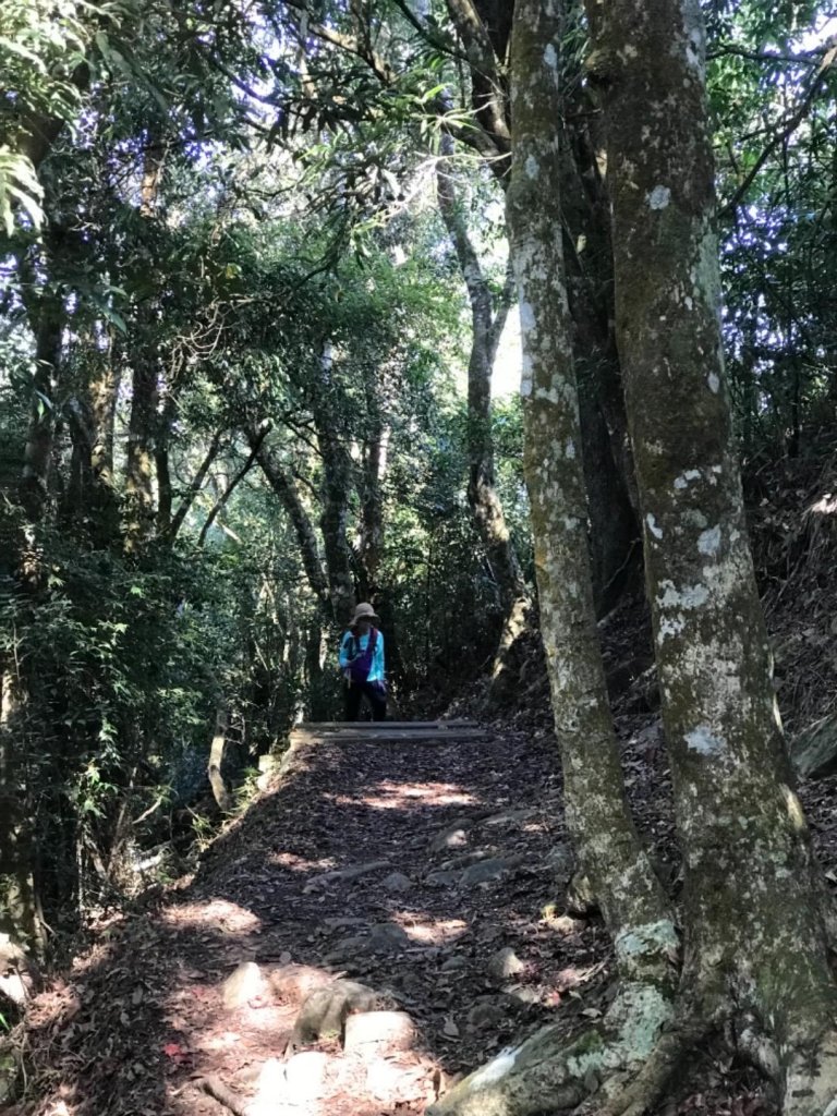 細道邦山 馬那邦山_464814