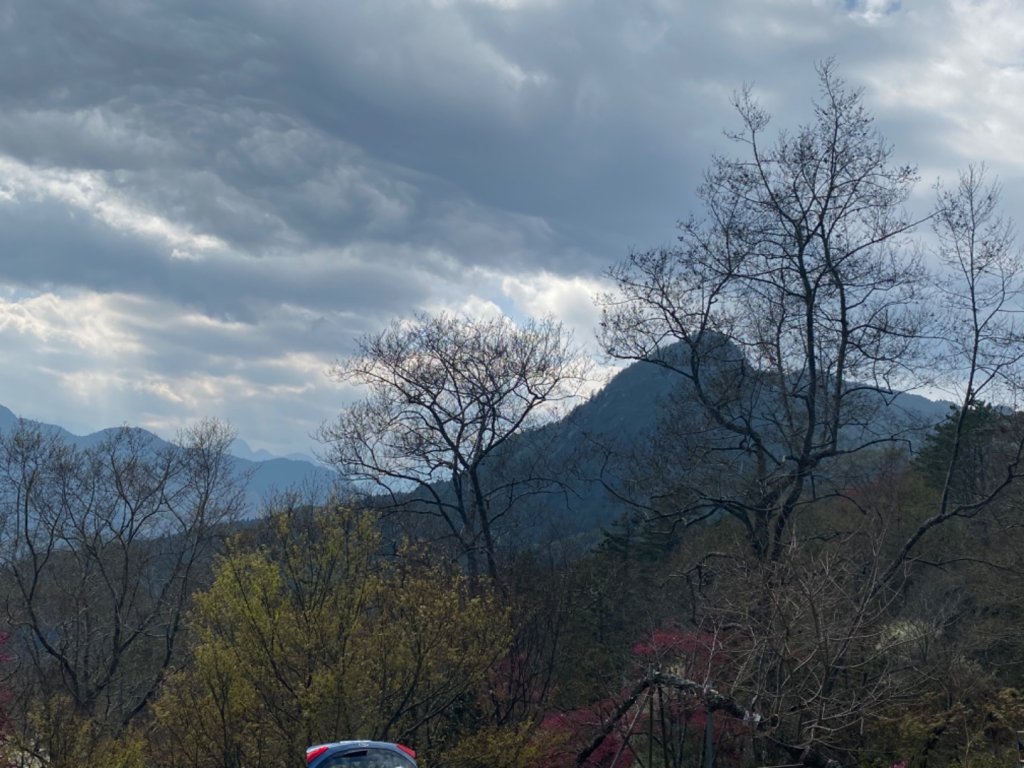 霧社櫻王 只櫻有你_873193