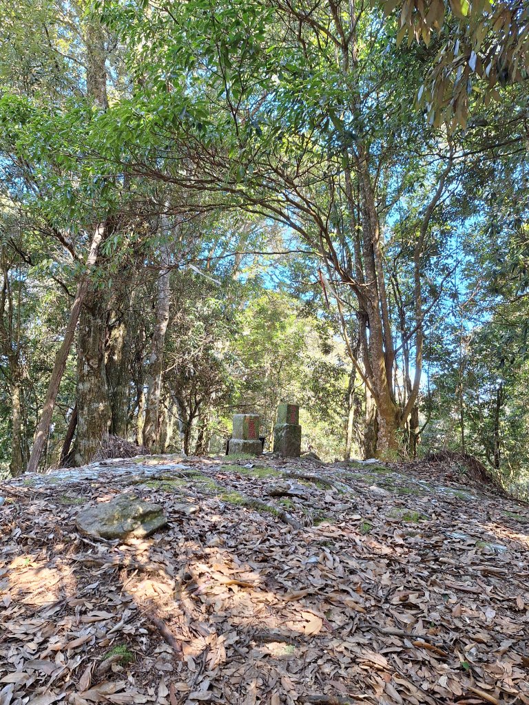 泰安麻必浩林道南坑山O型20250228封面圖