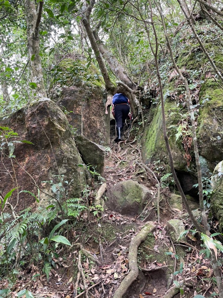 烏來大刀山+內洞林道O形_1632470