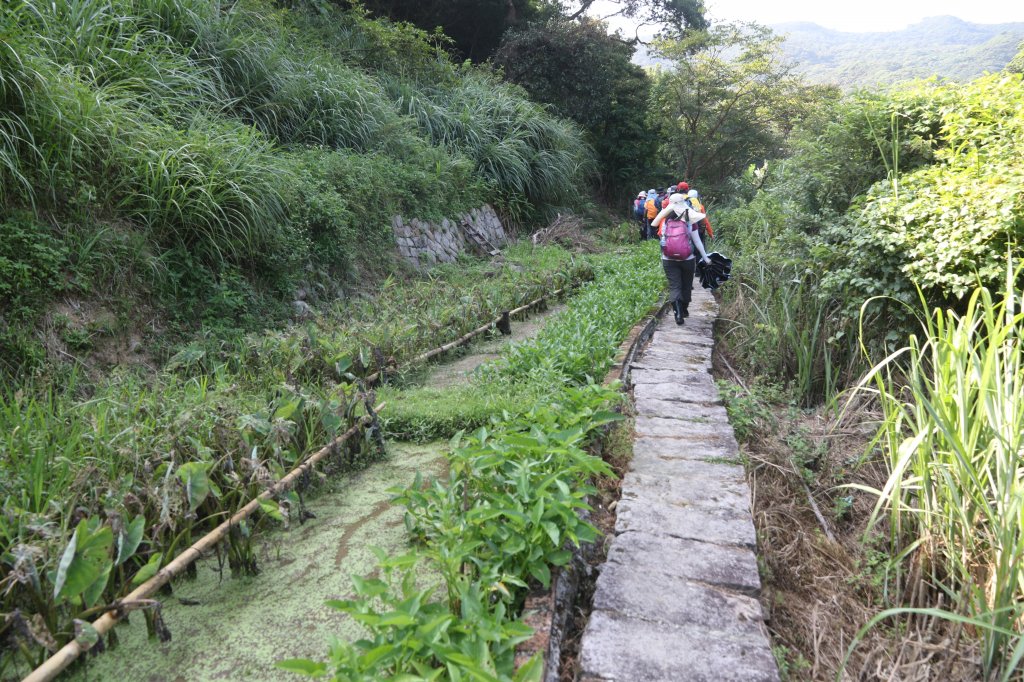 雙溪溝古道、梅花山、碧山、甜水鴛鴦湖_1077435