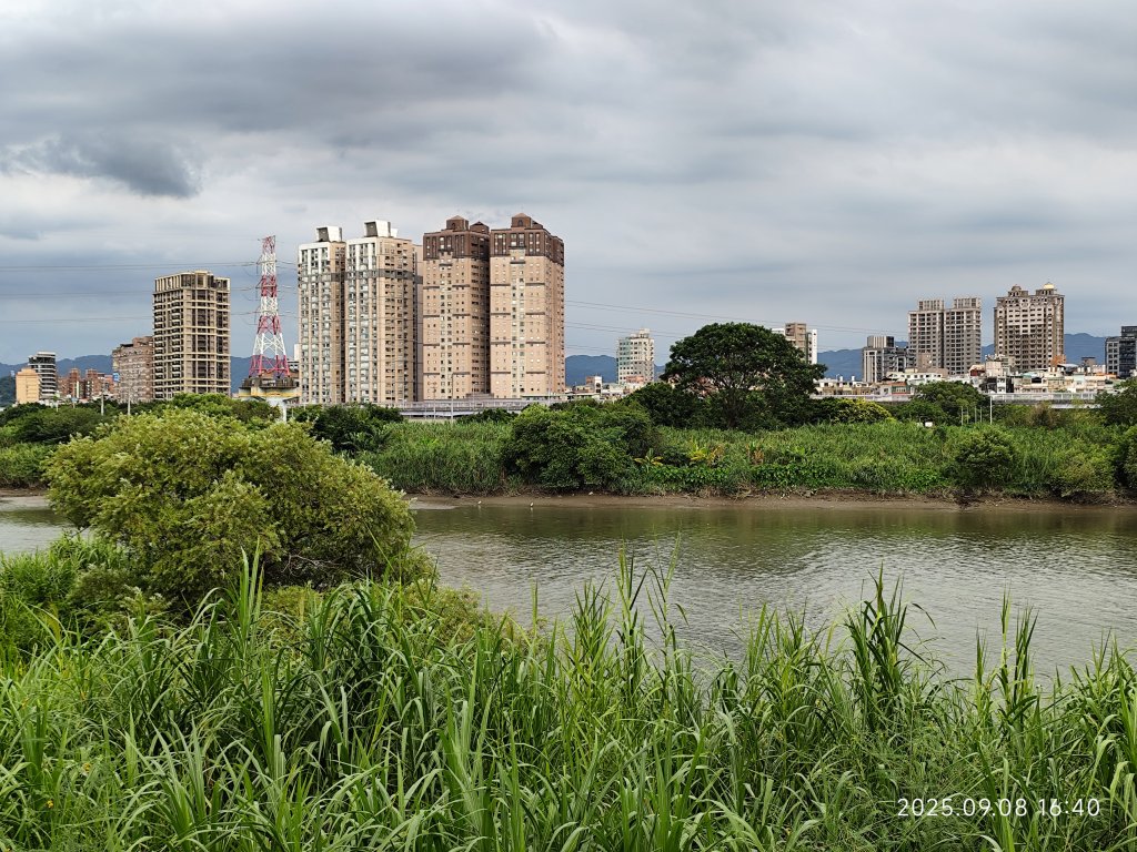 【臺北大縱走 8】萬壽橋頭(木柵)公車站→捷運關渡站［河濱自行車道］_2881986
