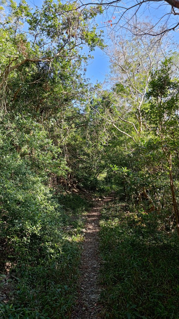 久保山、南久保山_2714419