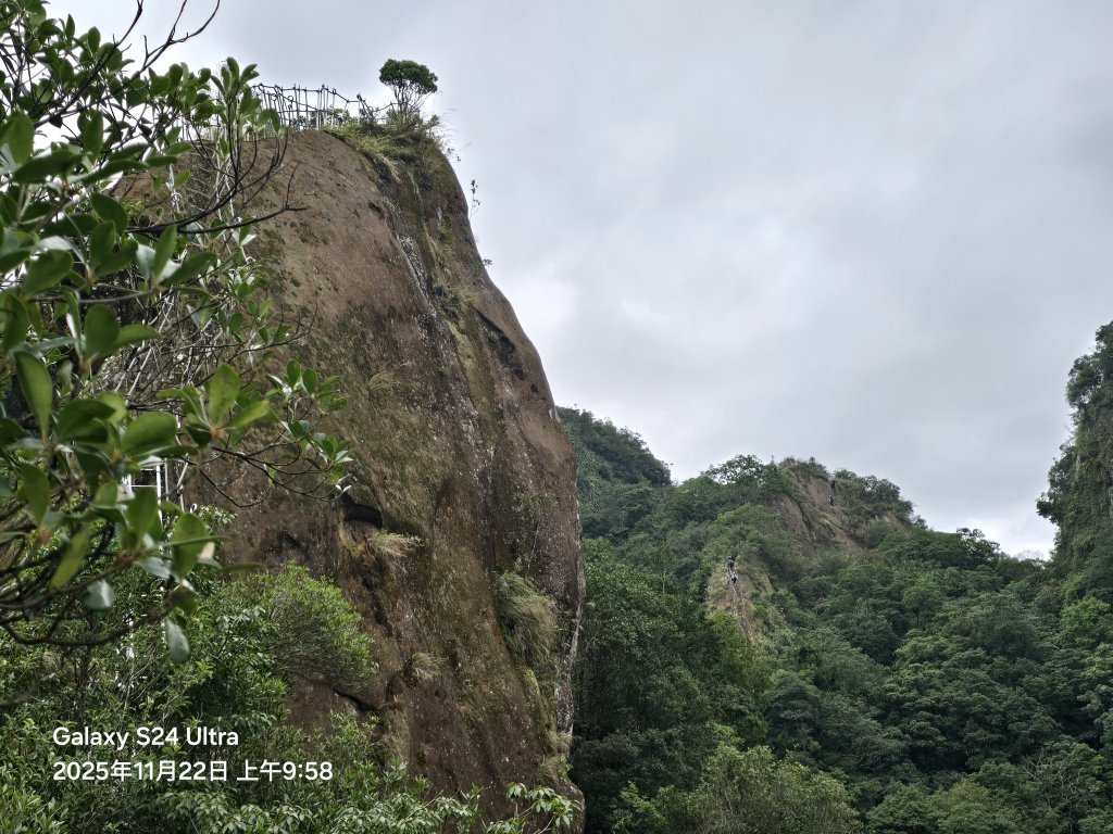 2025-11-22微笑山線：【五分山系】平溪小黃山段封面圖