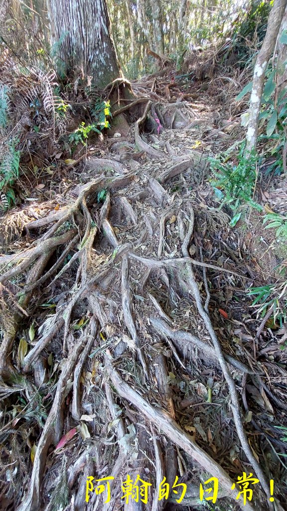 高島縱走_2686914