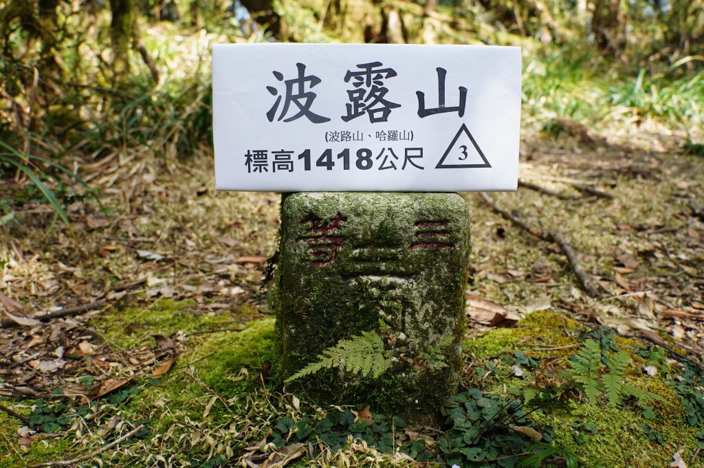 新北 烏來 波露山封面圖