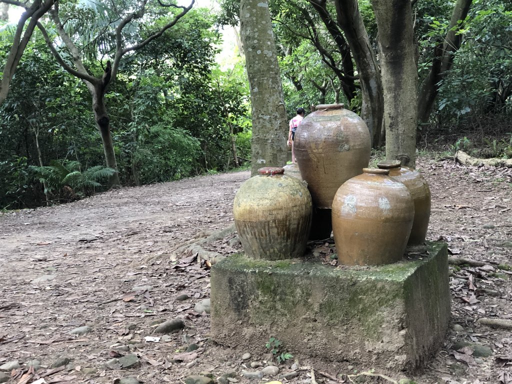 2020.05.31桃園五酒桶山步道封面圖