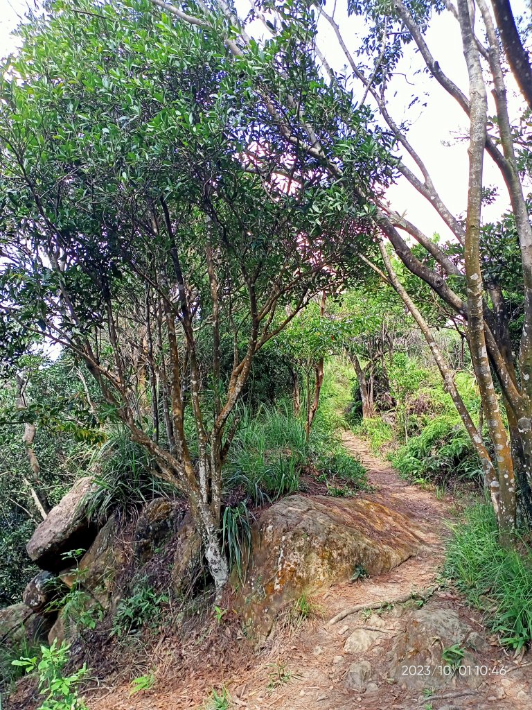 大溝溪生態治水園區、圓覺寺步道、龍船岩【走路趣尋寶、健康大穀東】_2301413