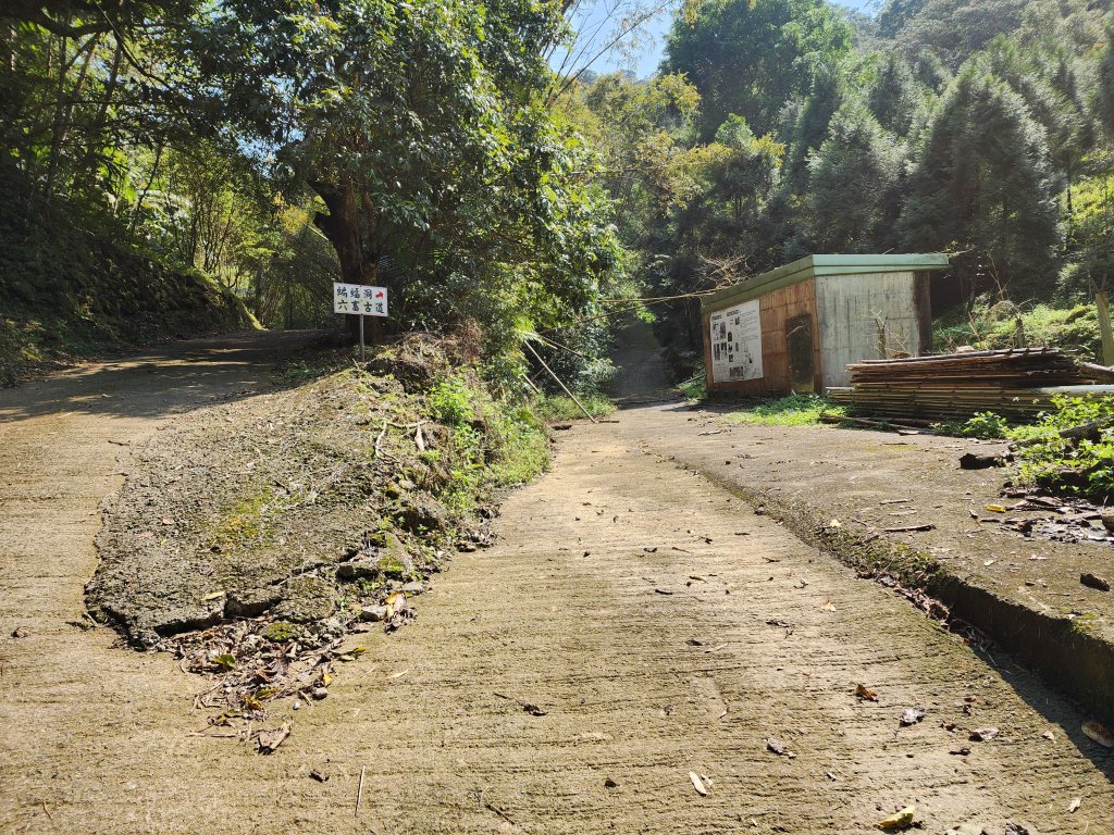 20250309高甫山彩和山大庭頂山金山O型_2769633