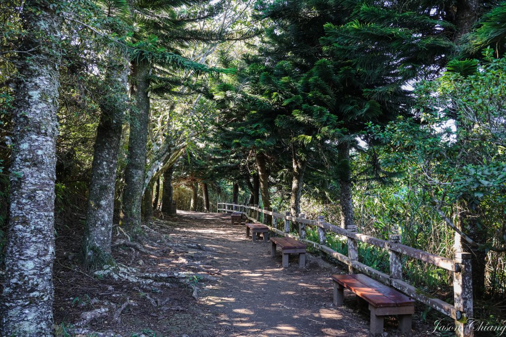 [苗栗]馬那邦山_2355142