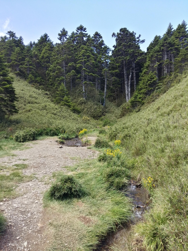 北峰~小溪營地._51045