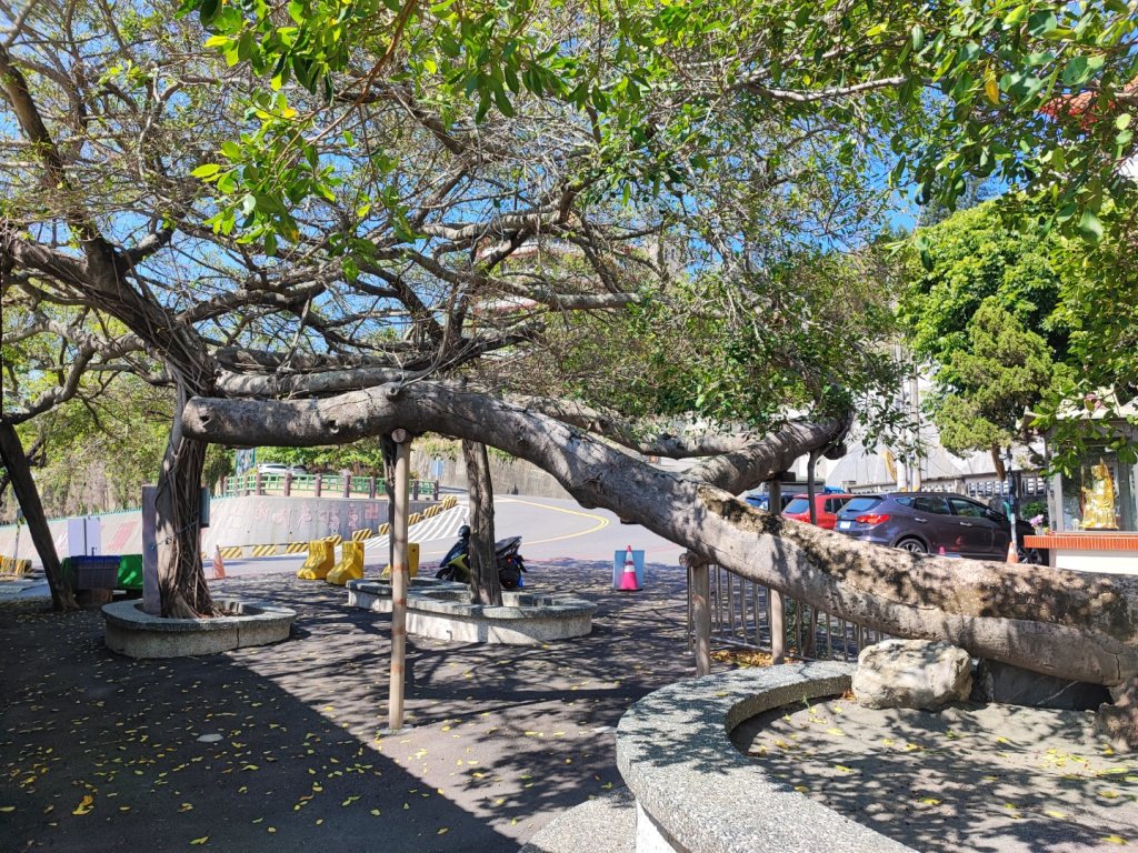 大崗山-小百岳#74-高雄市阿蓮區_2486134