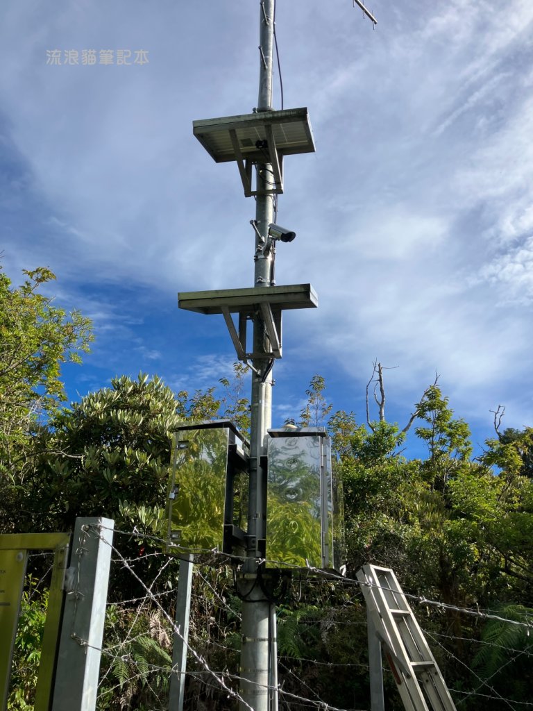 【羅馬縱走】山林巨木饗宴，夏季避暑的縱走路線_2888195