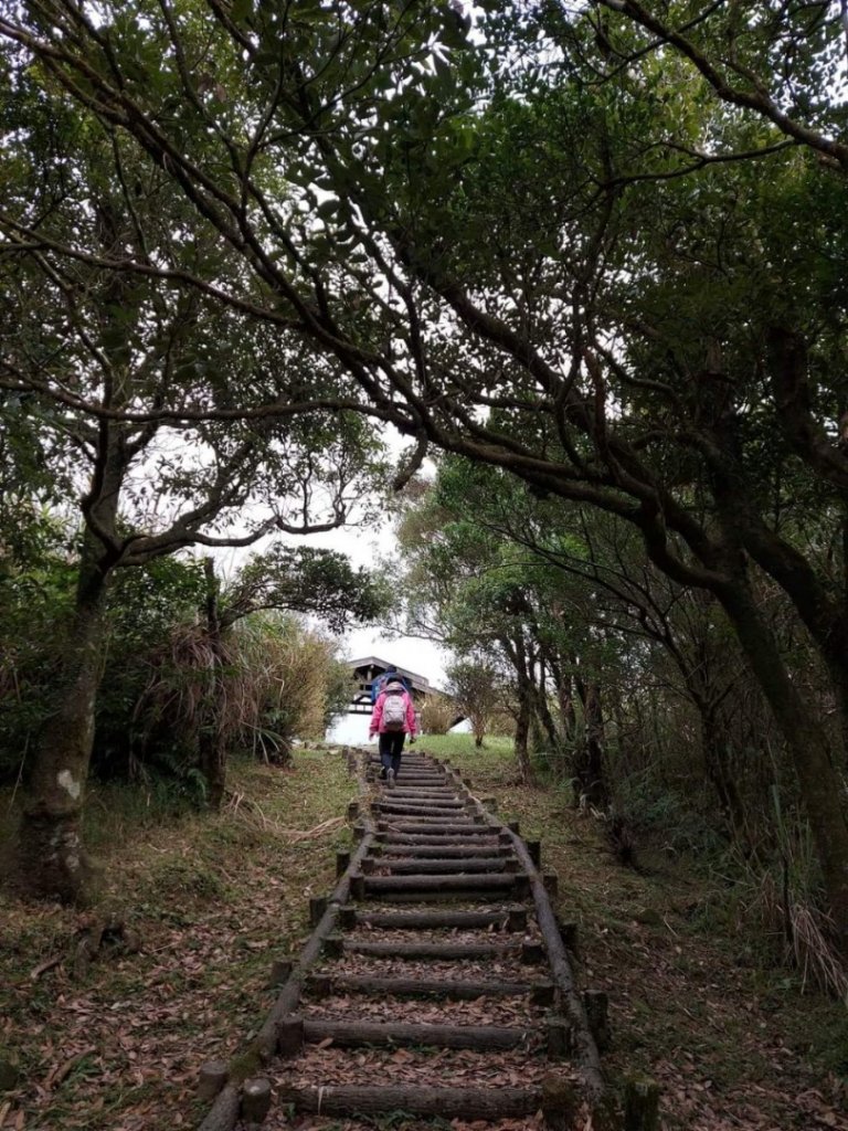 〔貢寮 〕靈鷲山無生道場  三貂角燈塔 ，南子吝步道，獅公髻尾山，台東三仙台，花蓮七星潭，清水斷崖_2216438