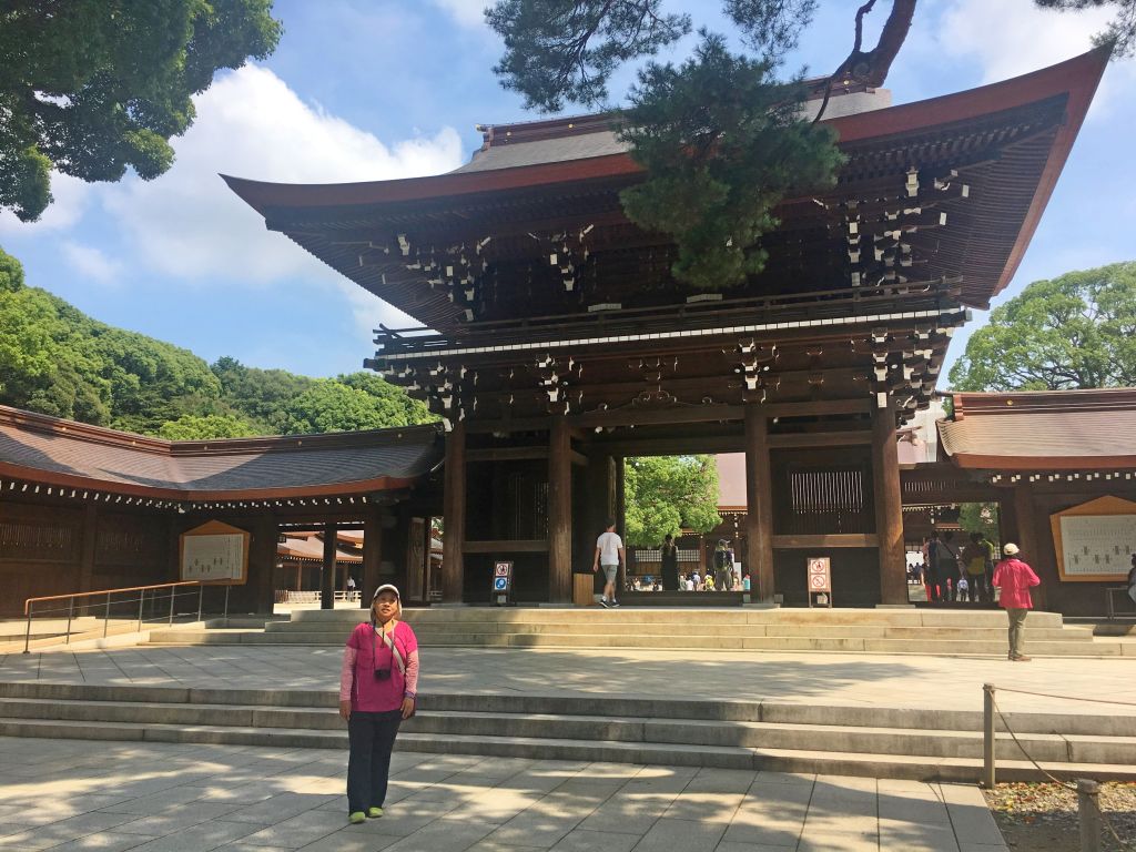 日本最高峰富士山登頂記_369821