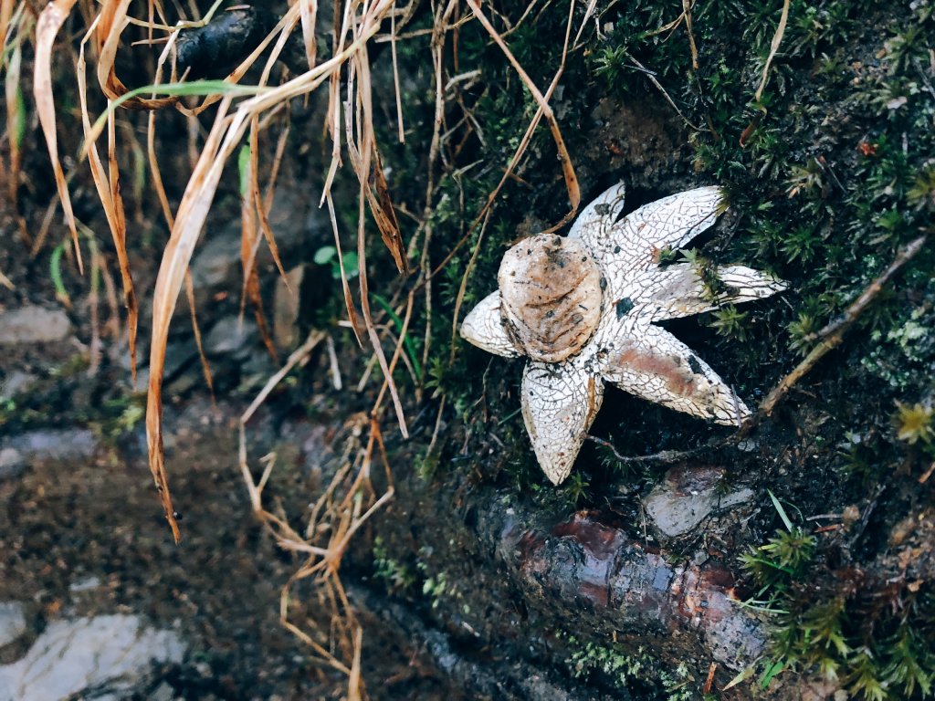 雪國裡的南湖_1621161
