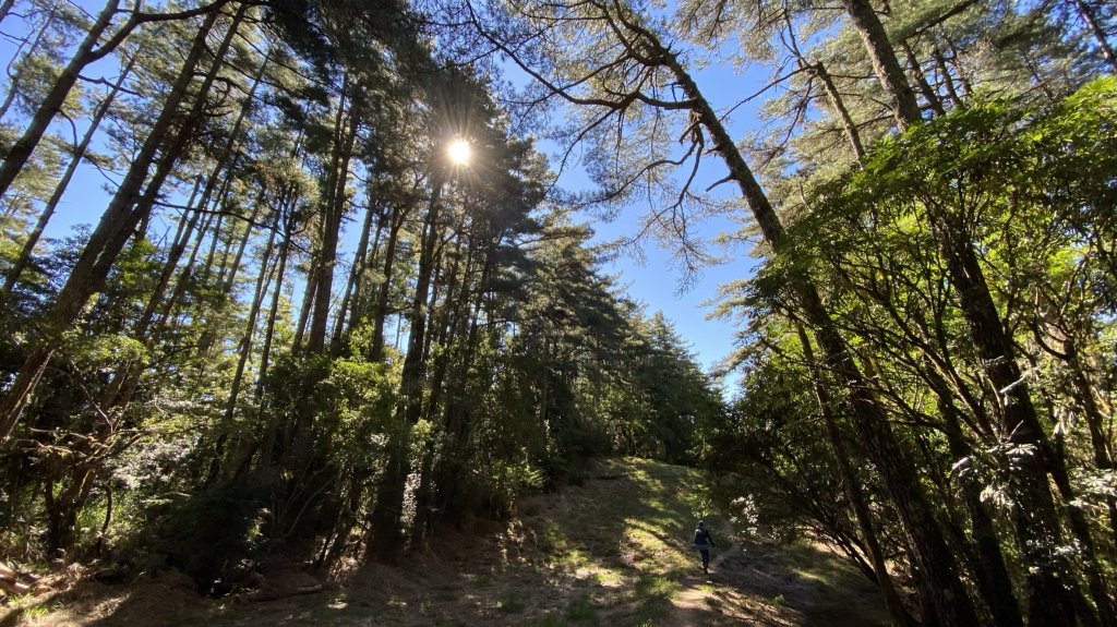 志雪劍之旗_1488487