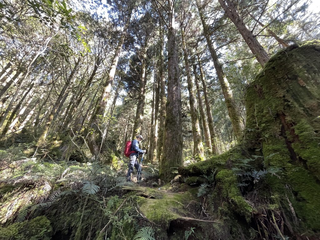 魔幻森林三星山與三星池_1658256