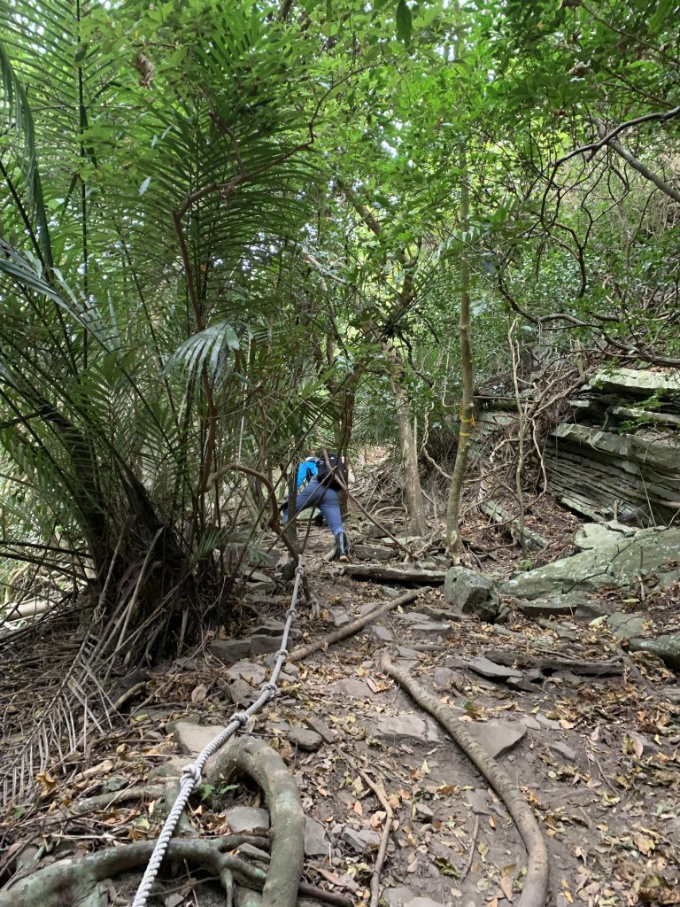 20260124屏東老佛山-老佛山南峰_2992220