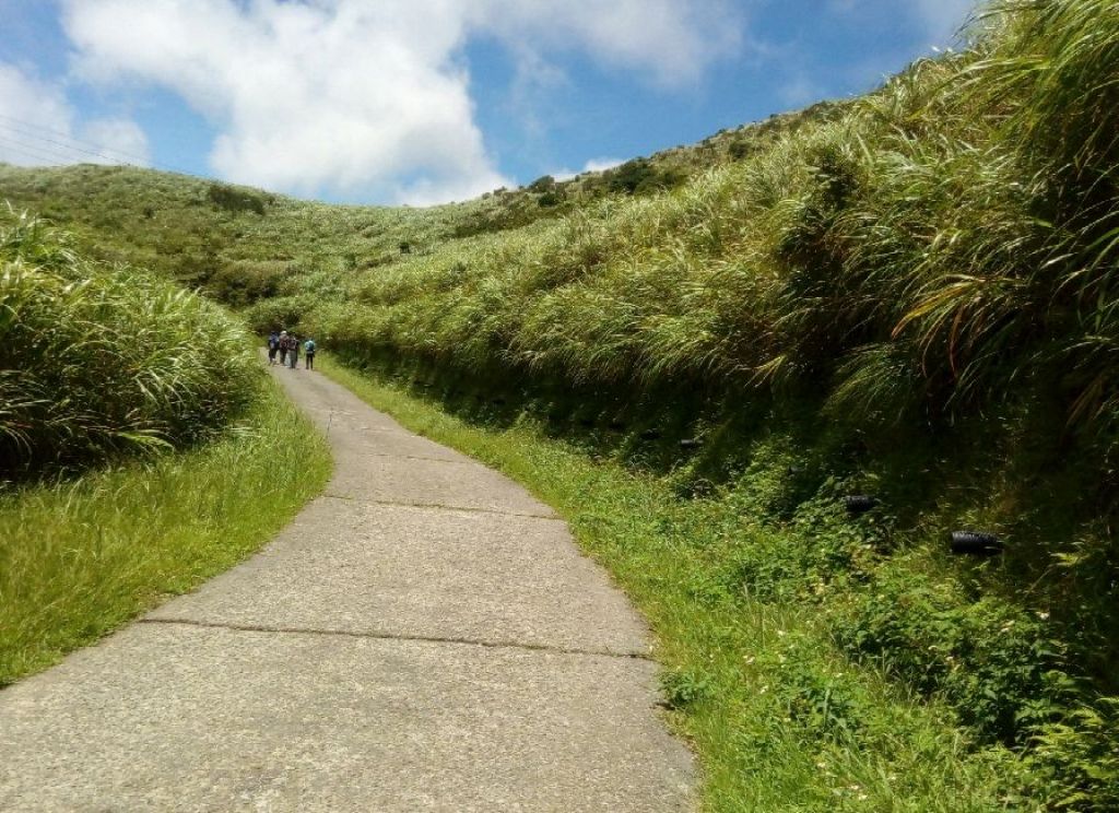 20180720 無緣之墓 貂山古道_376500