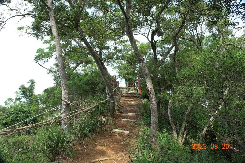 新竹 新埔 石頭坑山、犁頭山_2256041