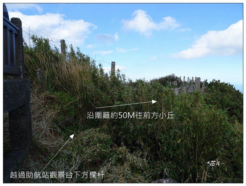 大屯主峰步道(小百岳)_2384941