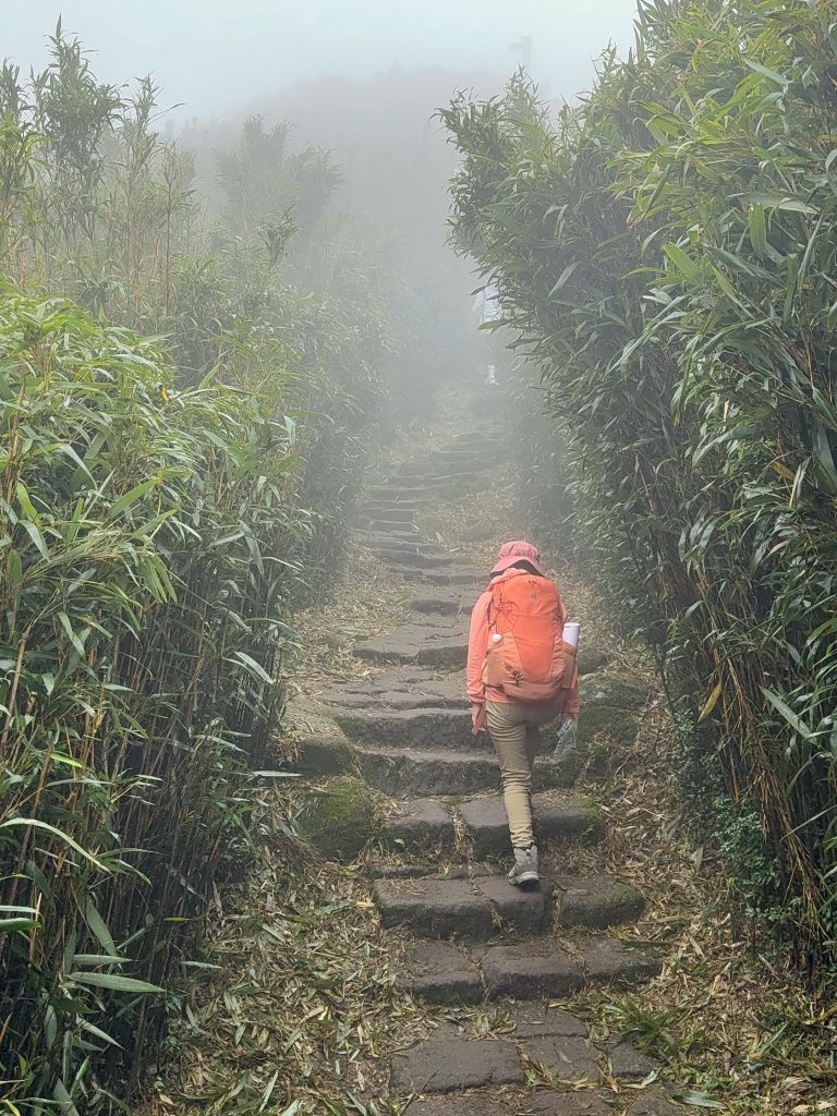七星山 冷水坑上小油坑下環七星山人車分道O繞 20251108_2934891