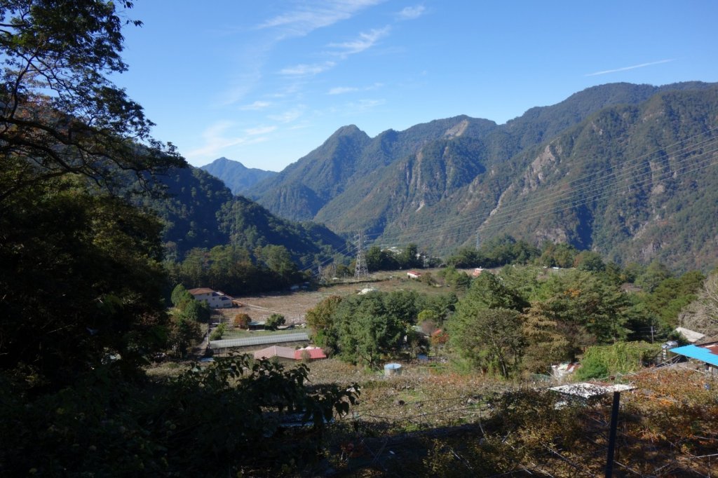 110.12.12馬崙山（海拔2305m）_1551479