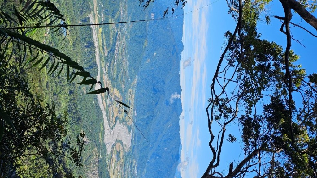 【暑假停課不停走】解鎖第49座小百岳#093都蘭山_2822529