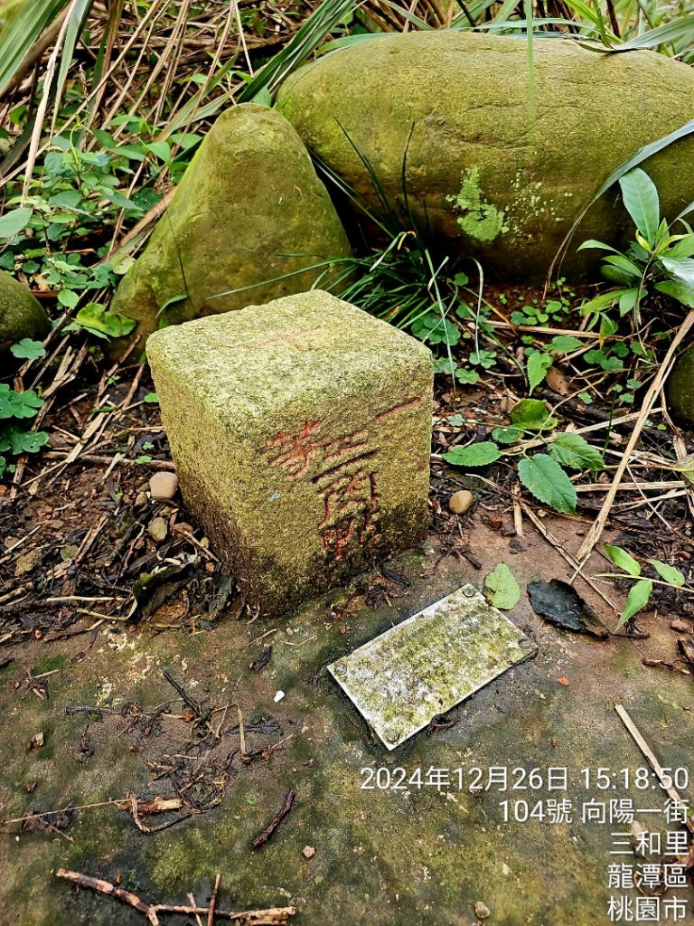 老窩山(一等三角點)-桃園市楊梅區封面圖