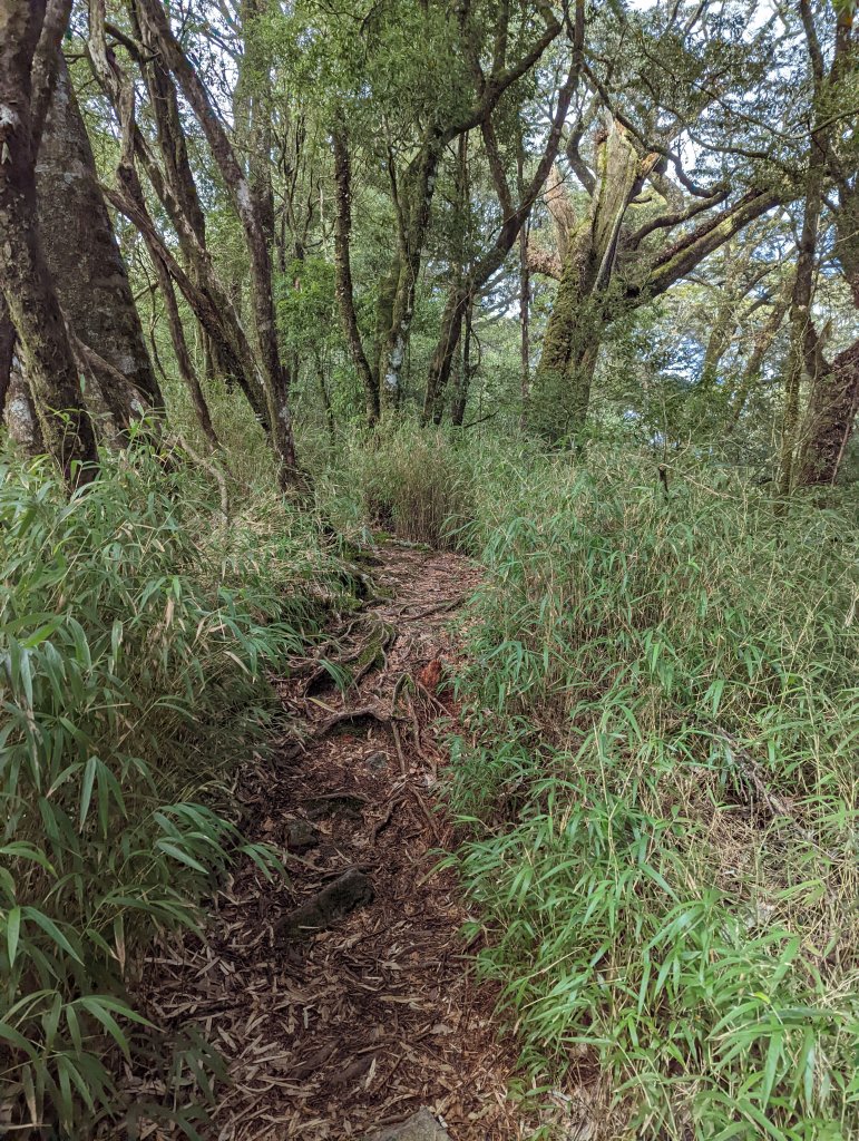 2022.02.26－稍來山_1621976