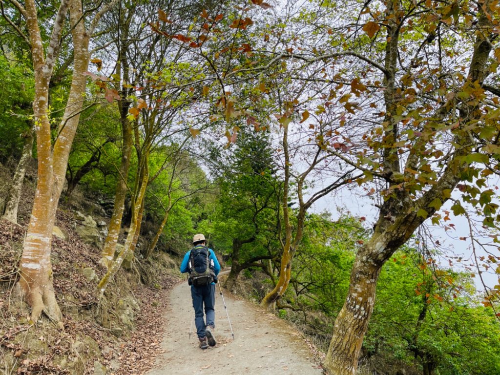 1120226獵鷹尖.一線天｜梅峰-福光山-飯包尖山_2042730