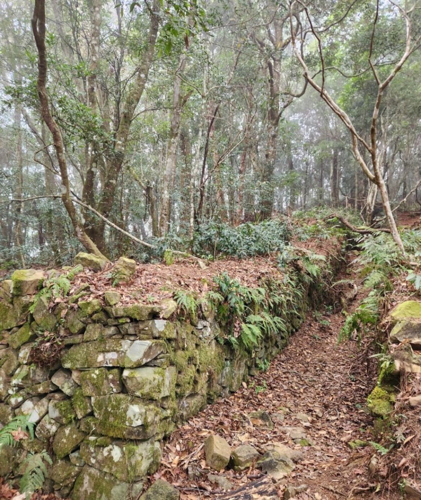 【中級山】芝生毛台山，芝生毛台山西峰，秀巒軍艦岩，屯野生步道，屯野生砲台_2745109