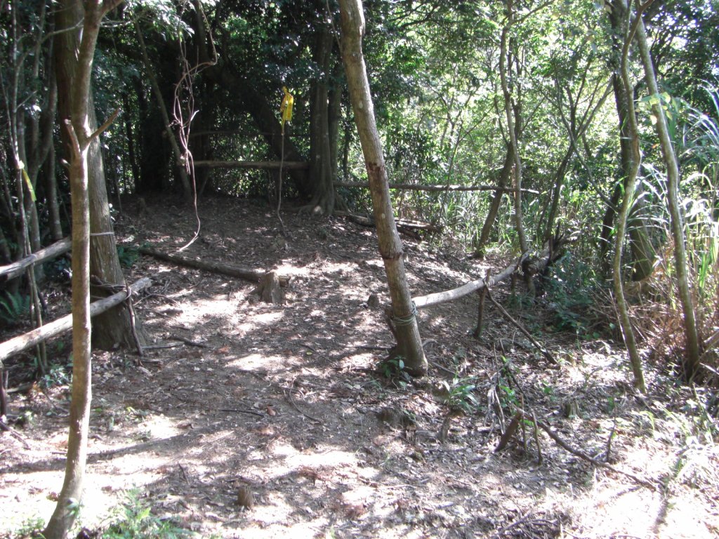 關西_外鳥嘴山20090908_1958018