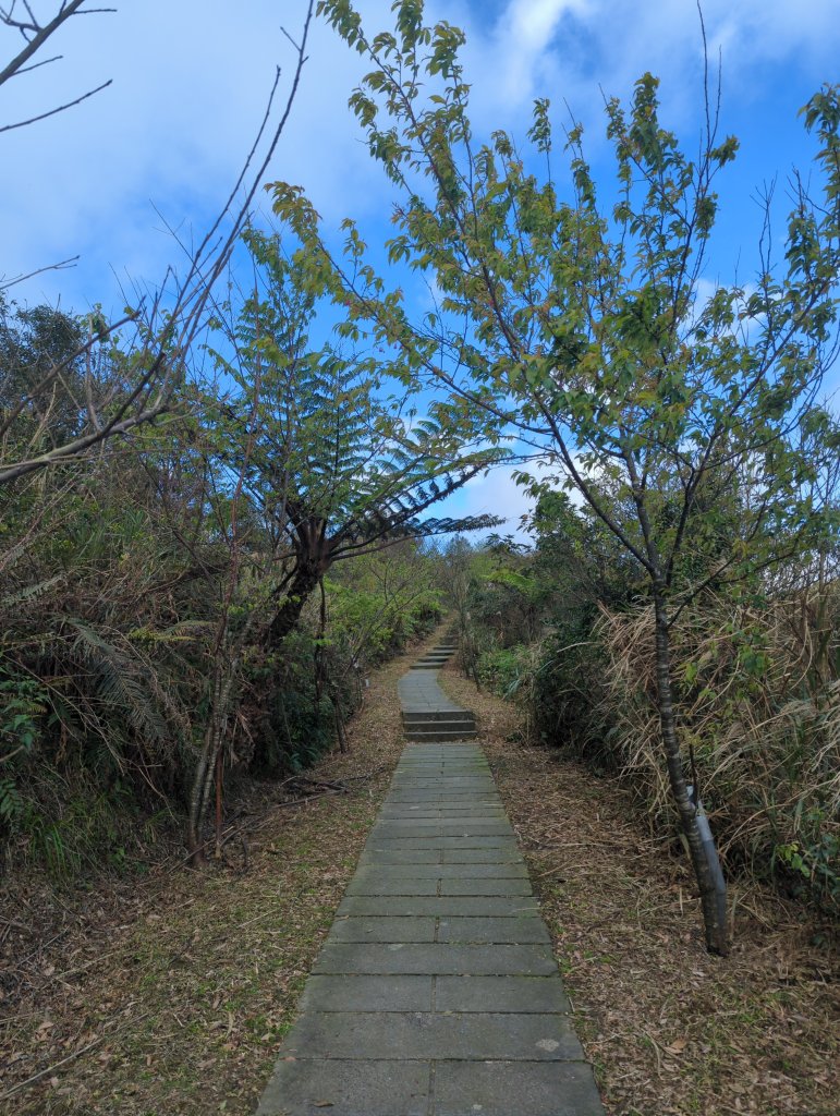 2025.02.15－五分山_2713833