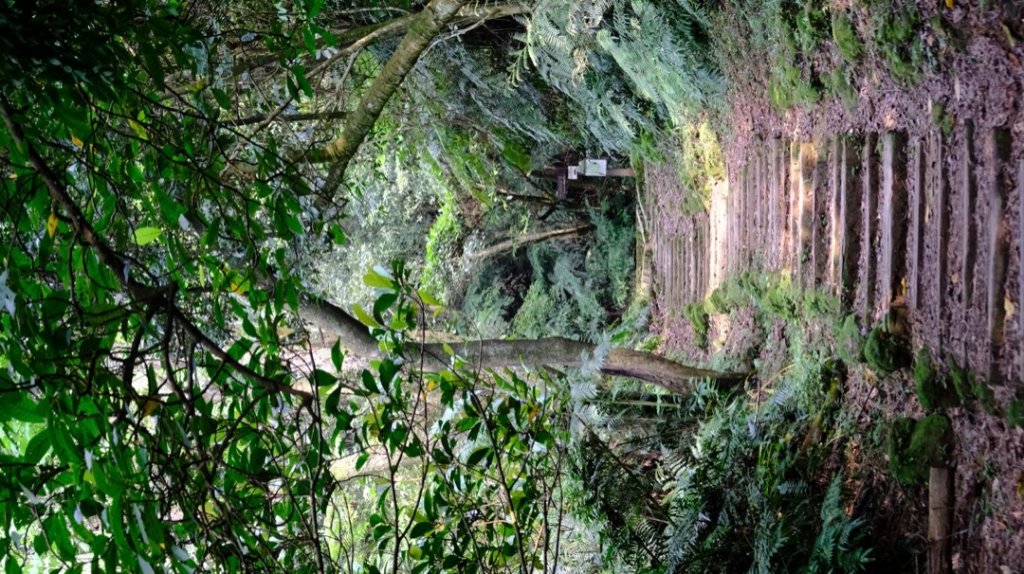 小百岳14號土庫岳封面圖